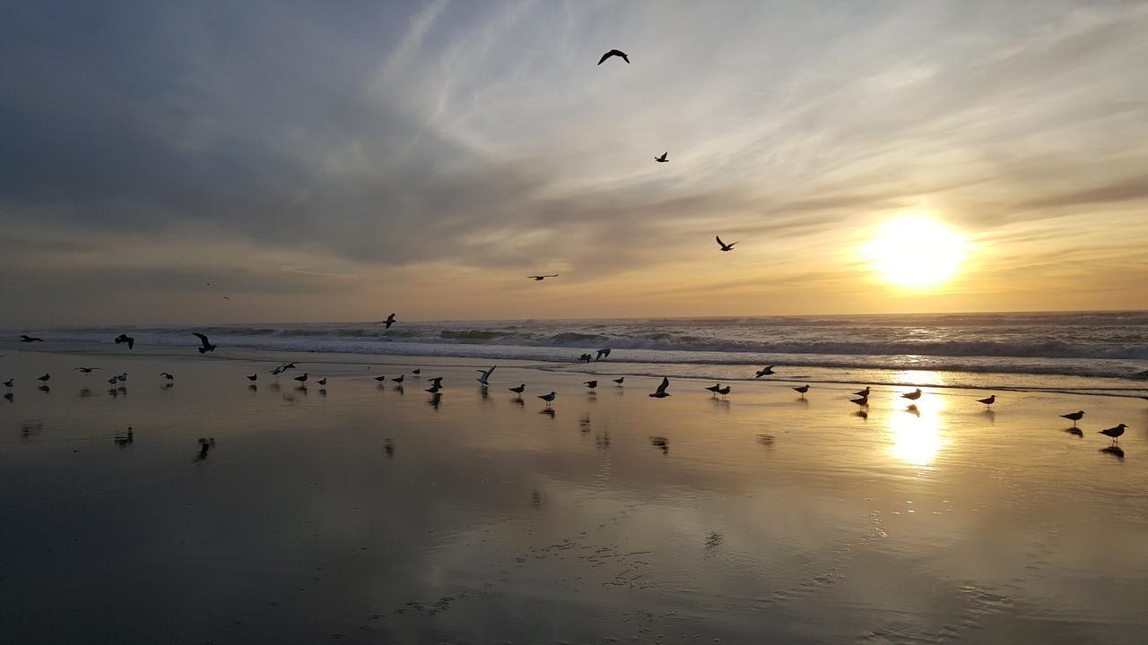 Winchester Bay Inn Reedsport Buitenkant foto